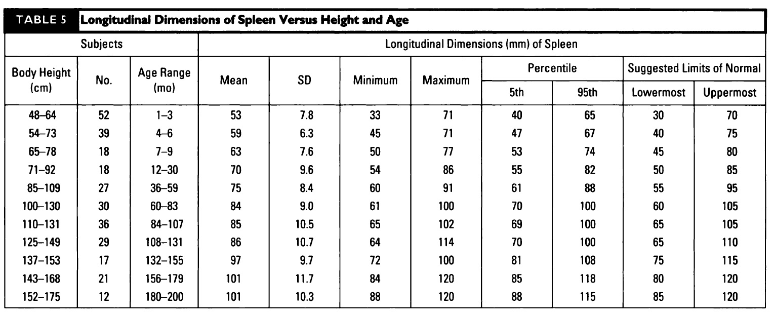 Spleen Normal Size